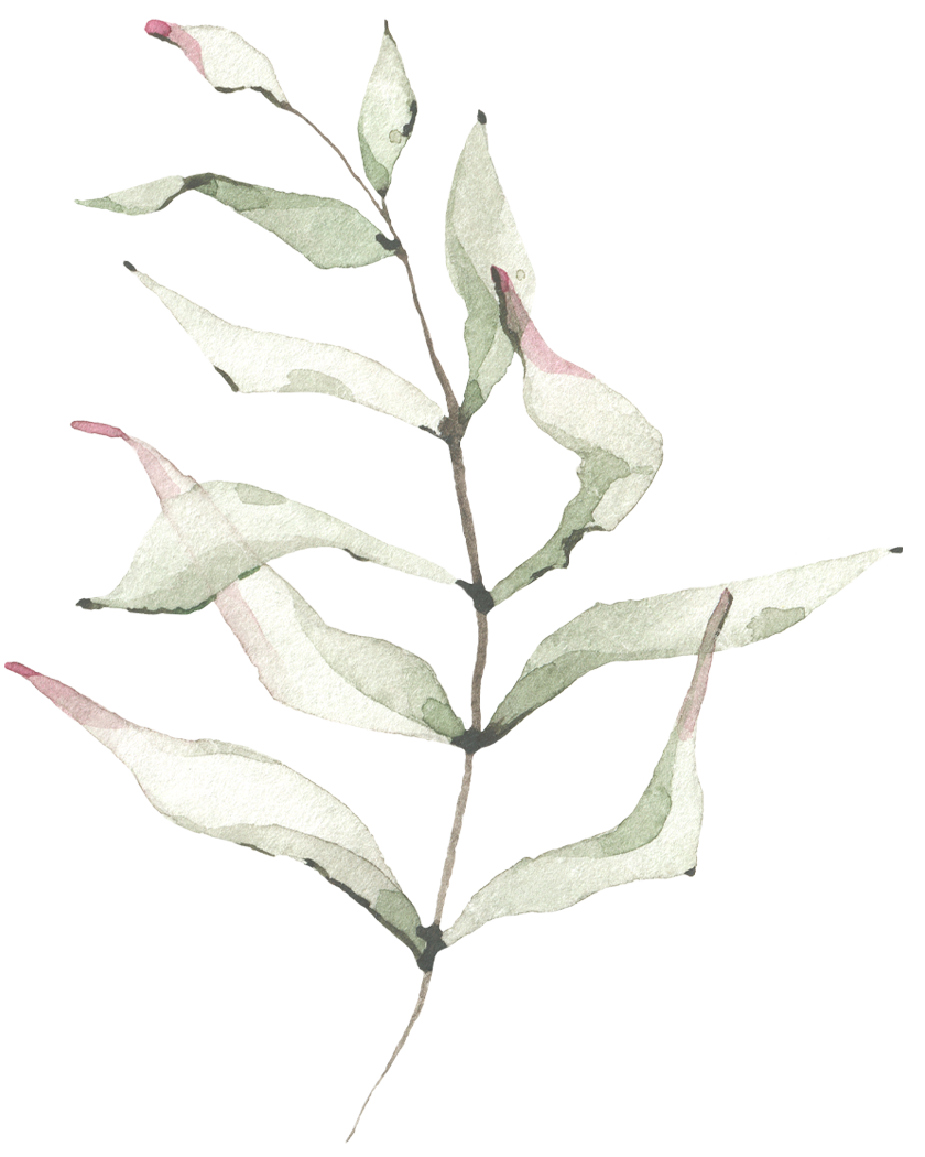 Botanical decoration